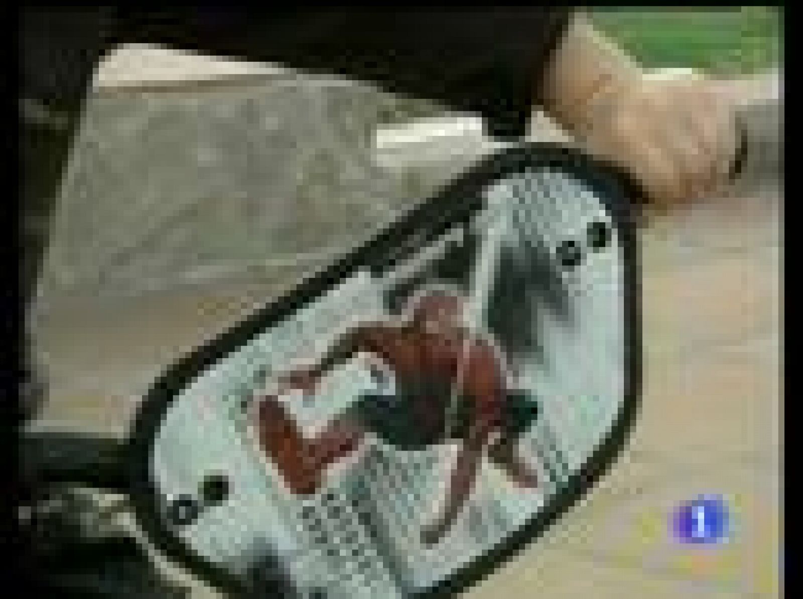 Un niño, cuatro horas abandonado en un autocar