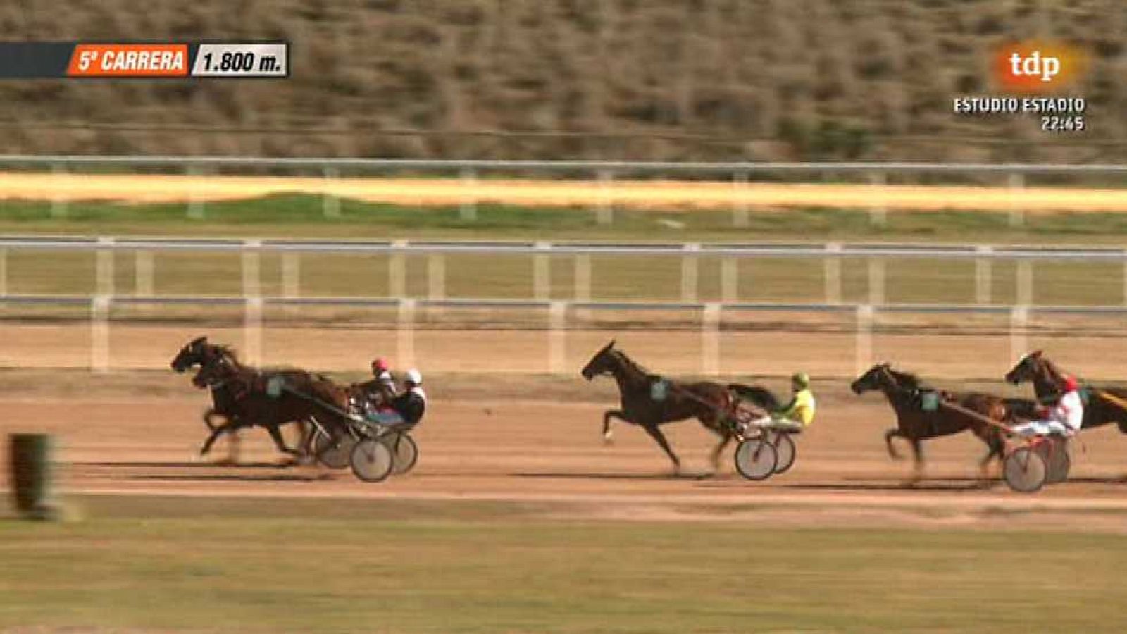 Turf - 01/02/15 - Ver ahora