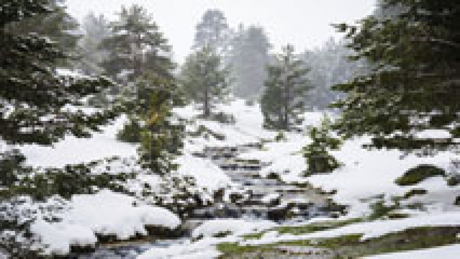 El tiempo: Lluvia, viento fuerte, baja la cota nieve y sigue el deshielo | RTVE Play