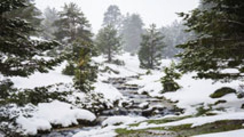 Lluvia, viento fuerte, baja la cota nieve y sigue el deshielo