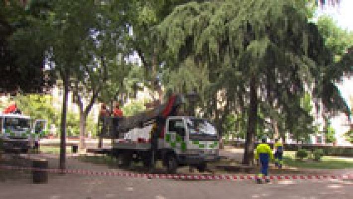 Informativo de Madrid - La Comunidad de Madrid en 4' - 03/02/15