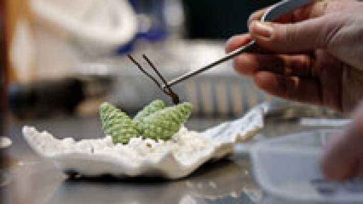 Informativo de Madrid - Informativo de Madrid 2 - 03/02/15