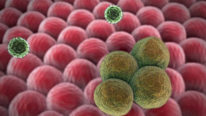 Telediario 1 - Una de cada dos personas que nacen hoy en España tendrá cáncer a lo largo de su vida