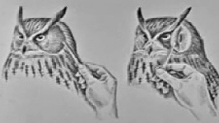 El planeta azul - Los búhos (II)