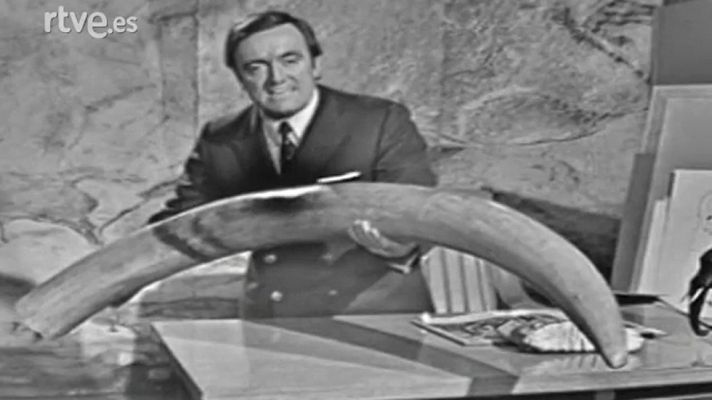 El planeta azul - Los elefantes