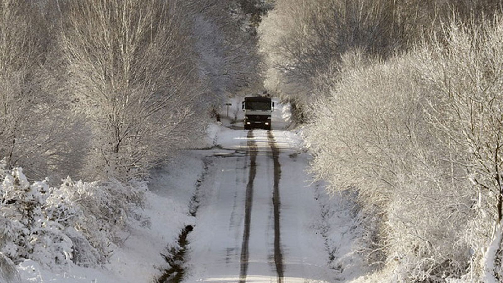 En Cataluña, Galicia, Aragón, Castilla-La mancha y La Rioja catorce mil alumnos se han quedado sin colegio