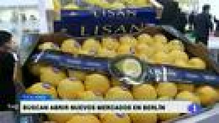 Noticias Murcia - La Región de Murcia en 2' - 04/02/2015