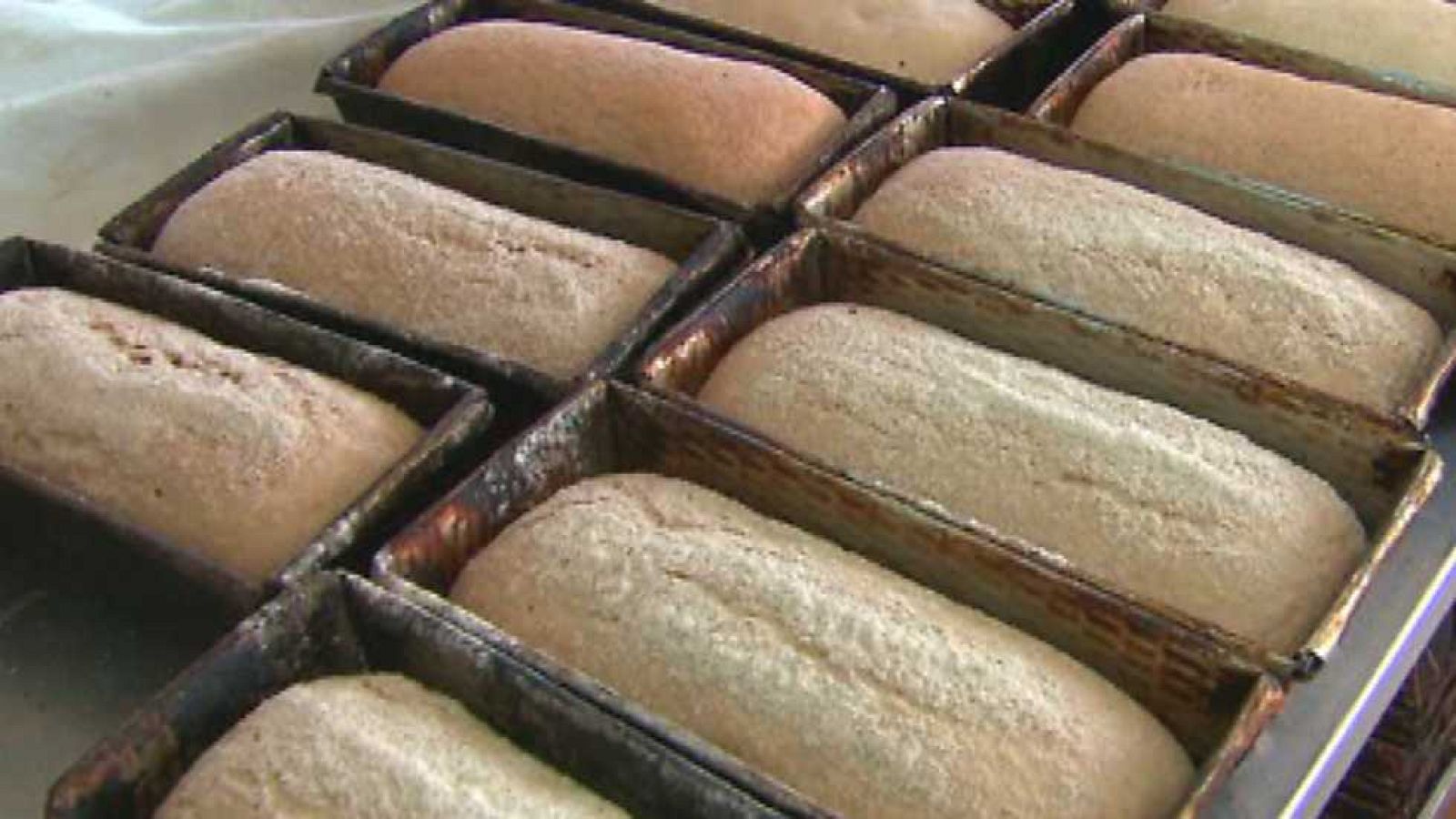 Aquí hay trabajo - 05/02/15 - Ver ahora