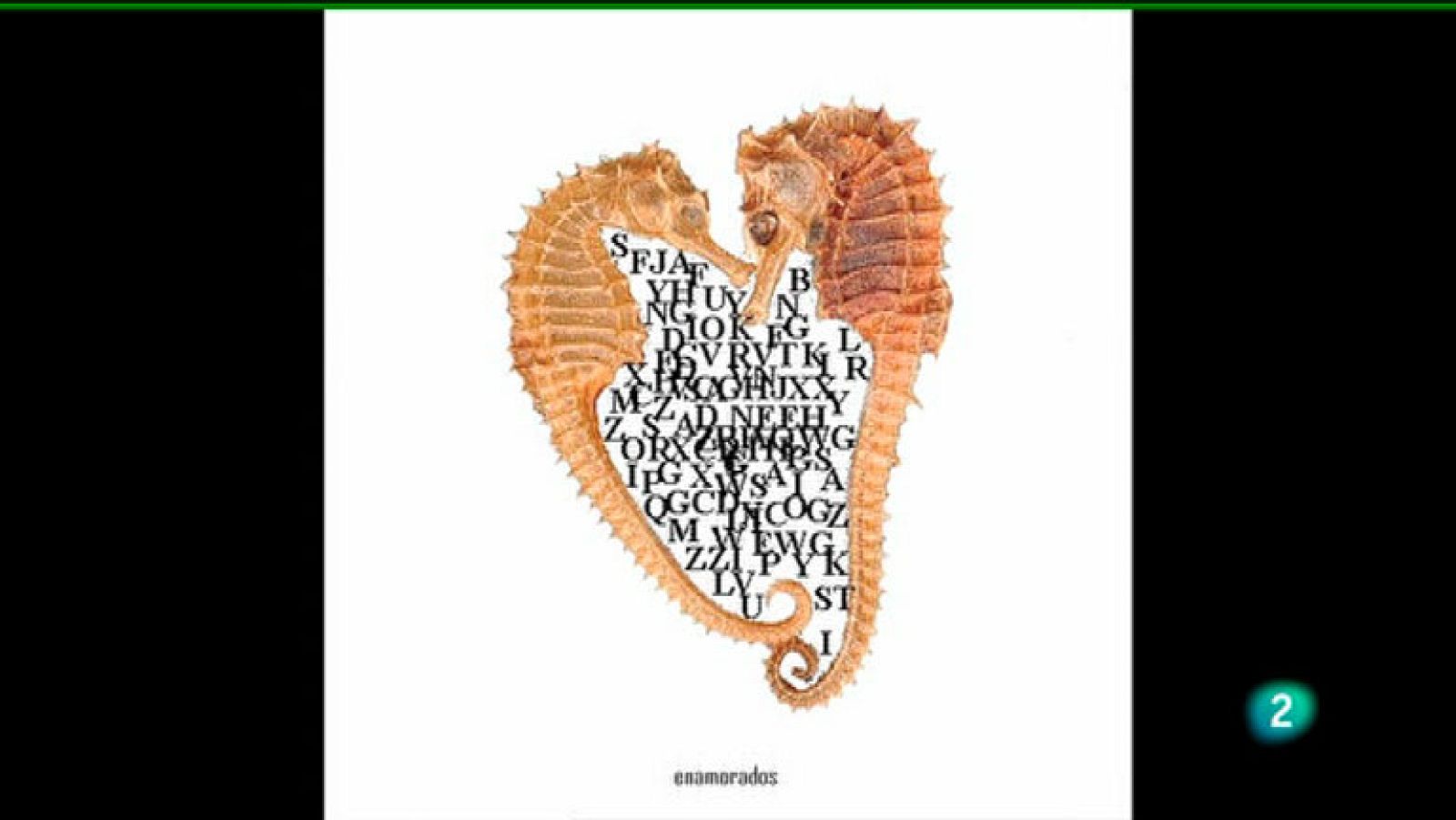 La Aventura del Saber. Boek Visual. J.M. Calleja