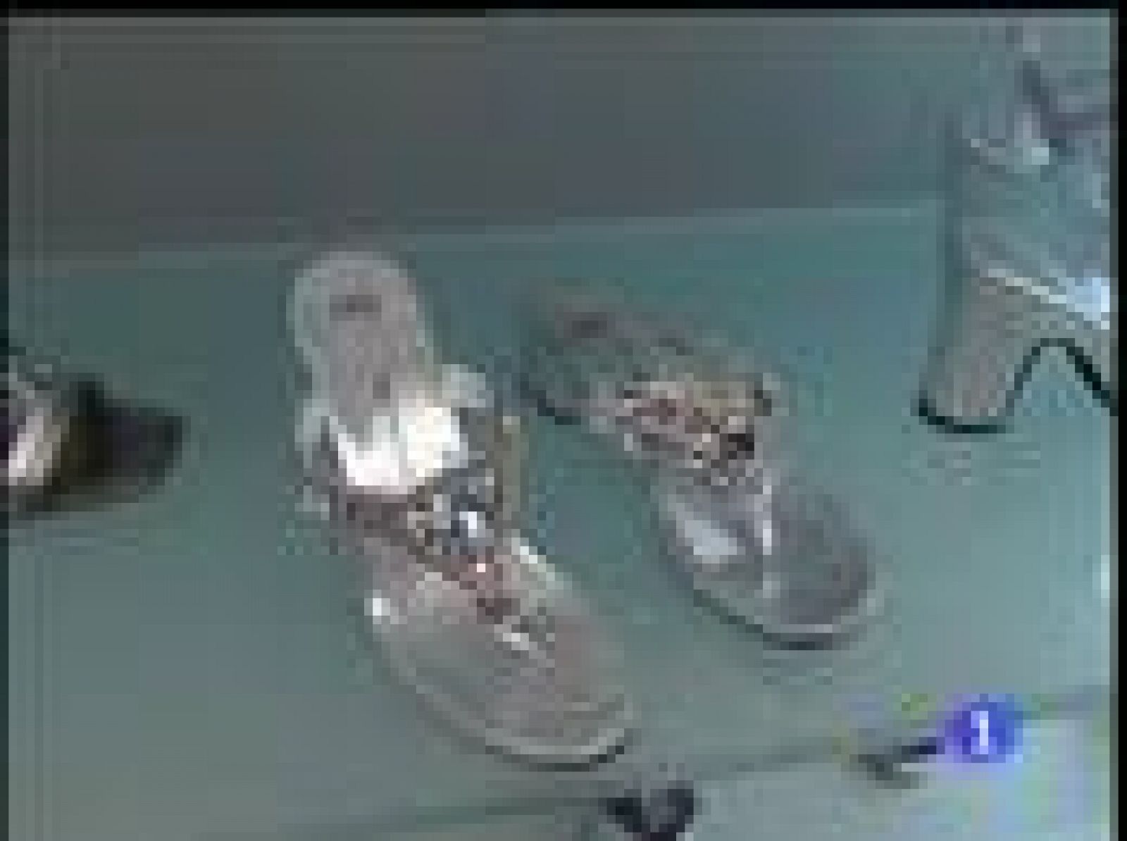 En Modacalzado se puede ver lo último para nuestros pies | Ver