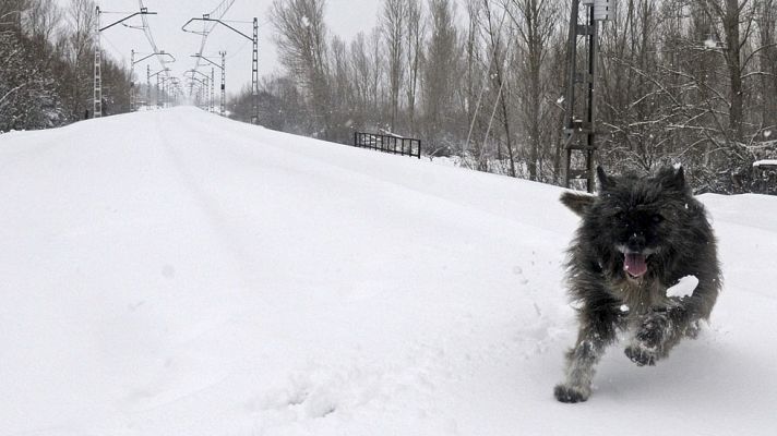 El tiempo - Heladas localmente fuertes en áreas montañosas y vientos fuertes en el noreste, este y Mediterráneo