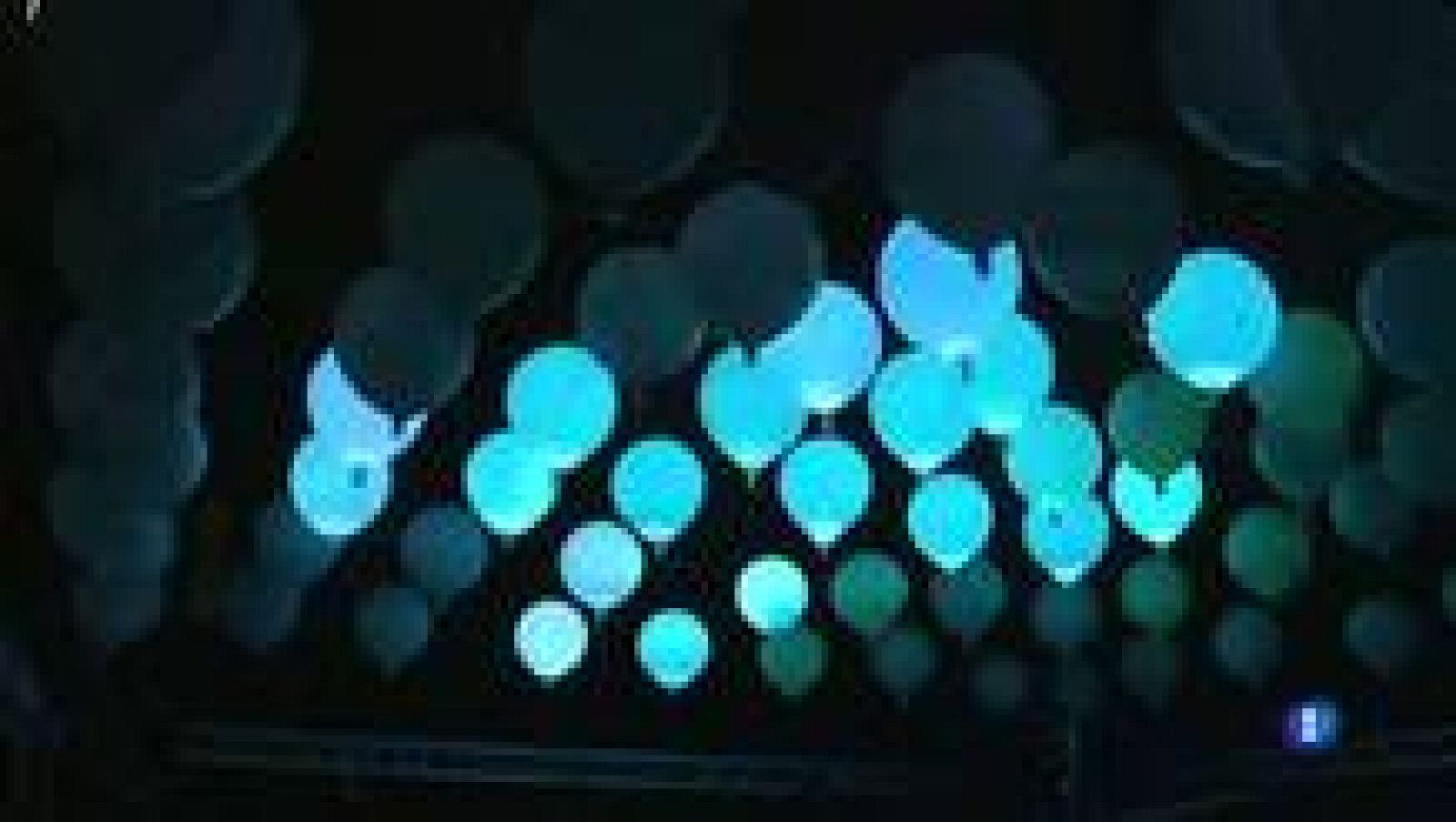  El Festival Llum Barcelona il·lumina les Festes de Santa Eulàlia