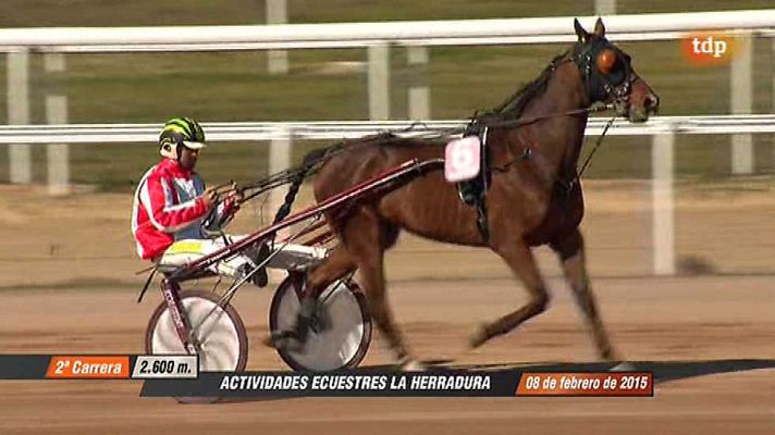 Turf - Turf - 08/02/15