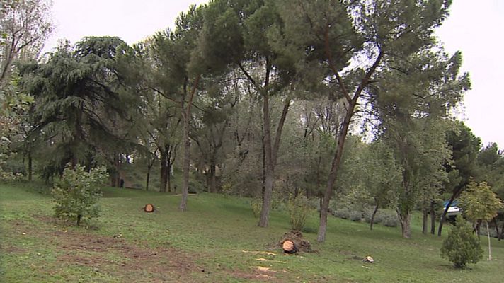 Informativo de Madrid - El Tiempo en la Comunidad de Madrid - 10/02/15