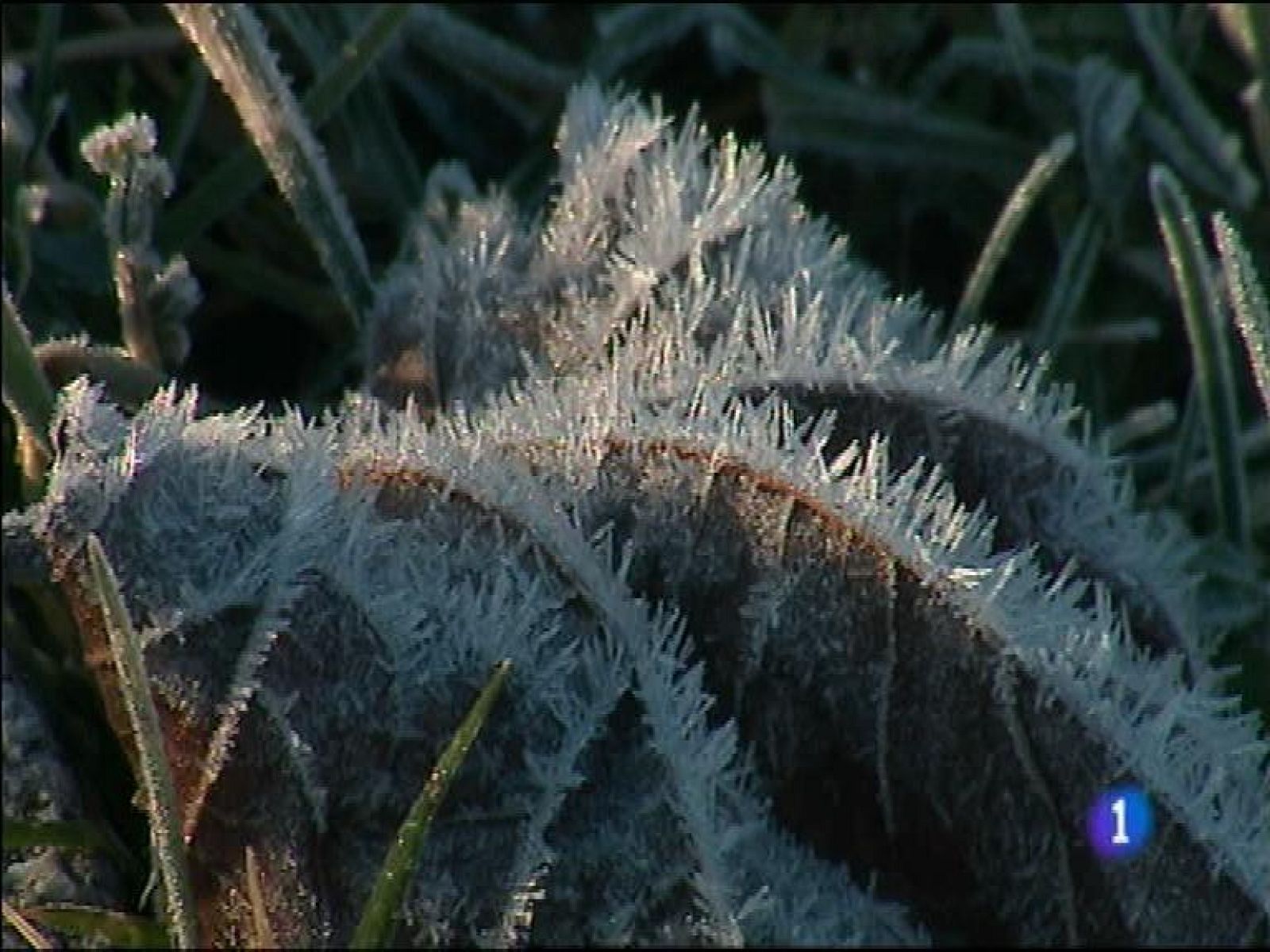 El tiempo en Asturias - 10/02/15 | Ver