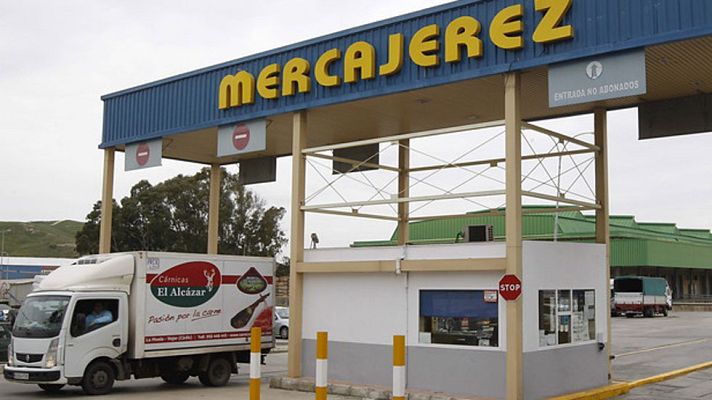 Telediario 1 - Al menos 16 detenidos en la segunda fase de la Operación Edu