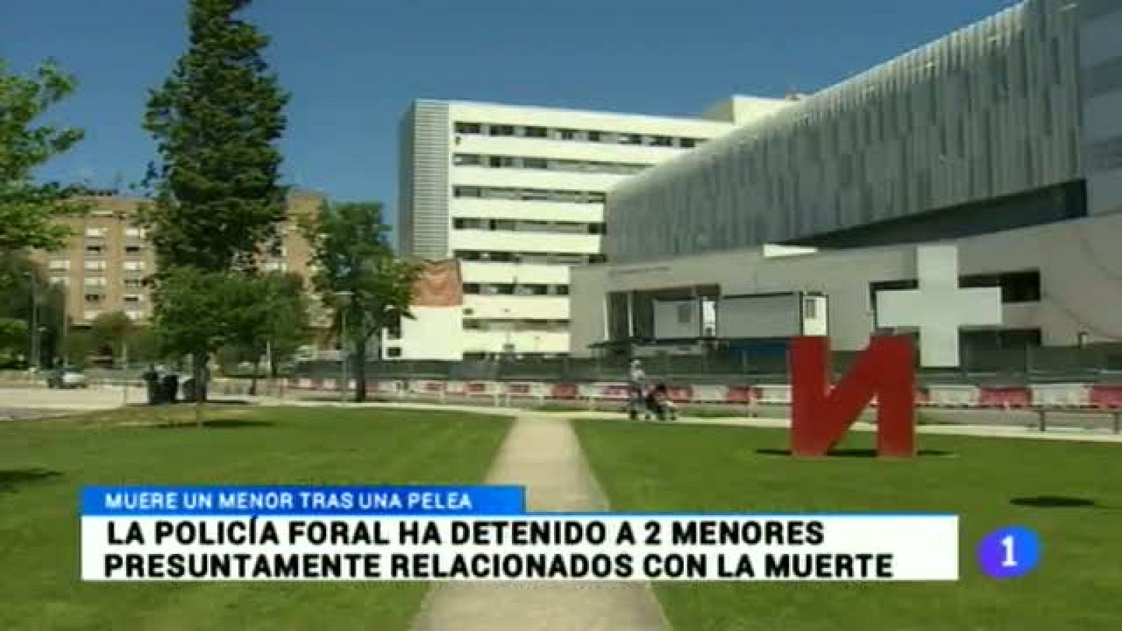 Telenavarra 10/02/2015 | Ver