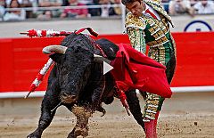 Tendido cero - José Tomás en exclusiva