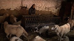 Aquí la Tierra-Paqui, una ganadera digna de medalla