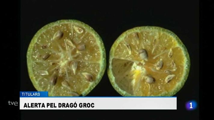 L'informatiu - Comunitat Valenciana - La Comunidad Valenciana en 2' - 12/02/15