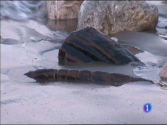 Panorama Regional - Panorama Regional 2 - 12/02/15