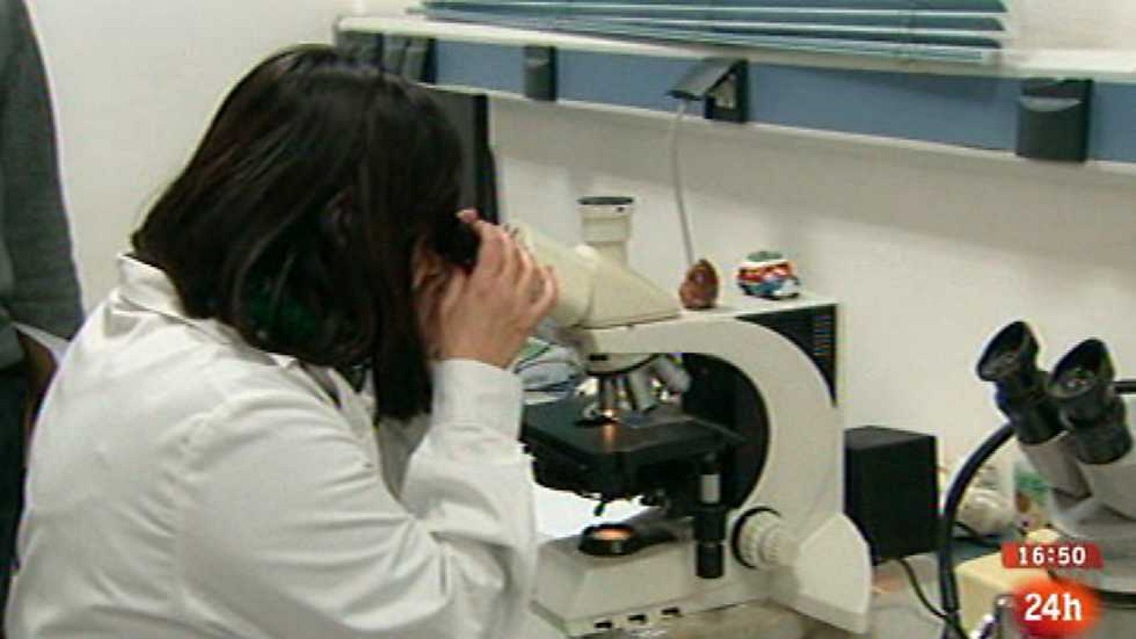 España en 24 horas - 12/02/15 - Ver ahora