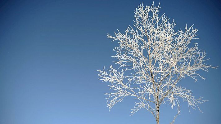 El tiempo - Viento y lluvia en Galicia, Asturias, Alborán y sierras del sudeste