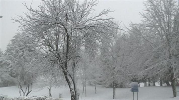 Teleplaneta - Teleplaneta - 14/02/15