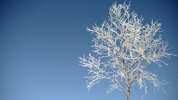 El tiempo - Viento fuerte en Galicia, Asturias, Alborán y sierras del sudeste