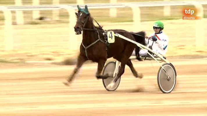 Turf - Turf - 15/02/15