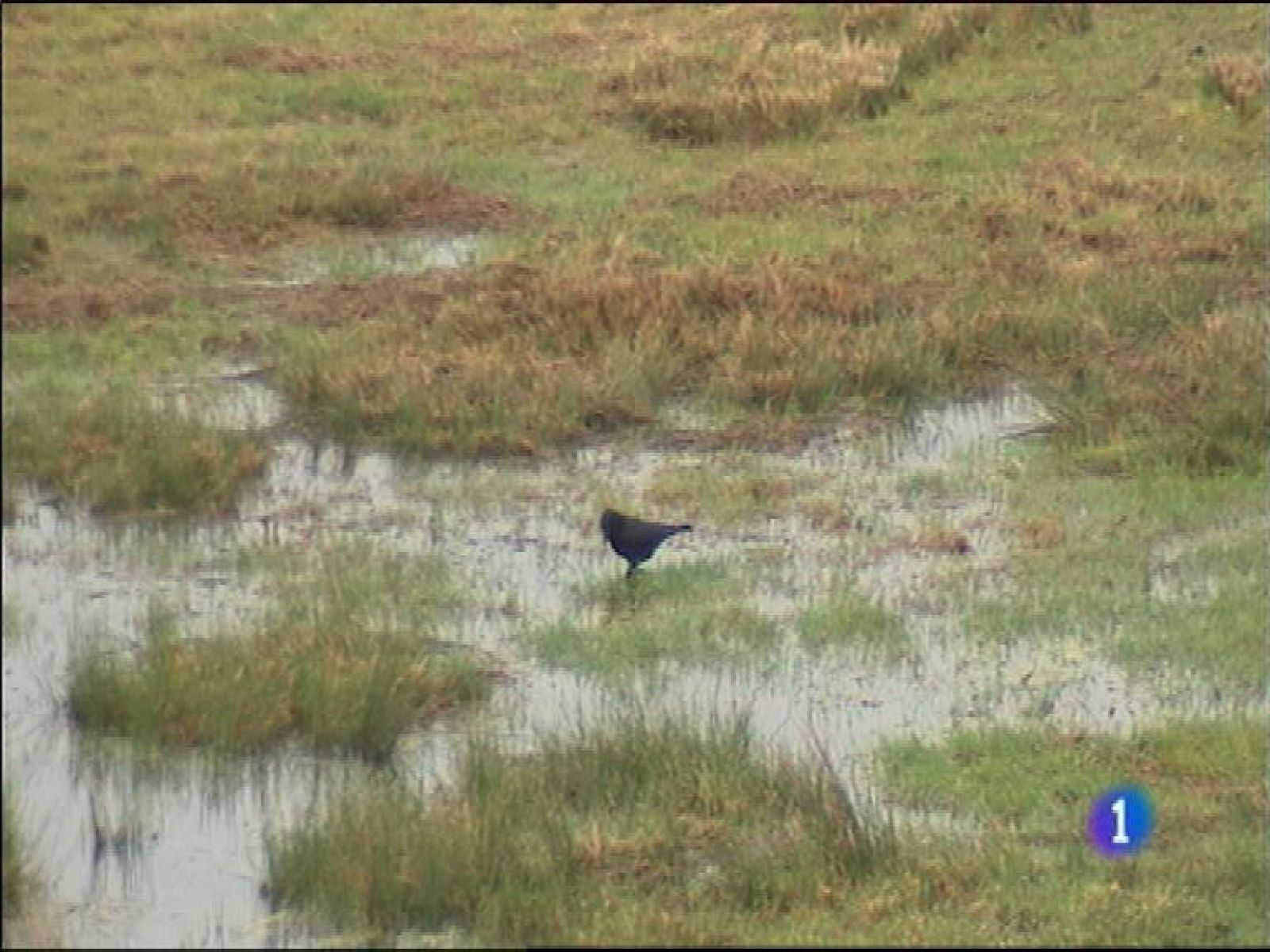 El tiempo en Asturias - 16/0215 | Ver
