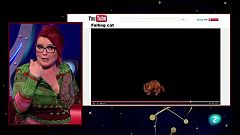 Órbita Laika -  Los gatos siempre caen de pie