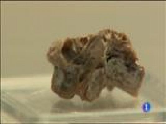 Panorama Regional - Panorama Regional 2 - 17/02/15