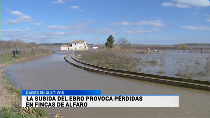 Informativo Telerioja - Informativo Telerioja - 18/02/15