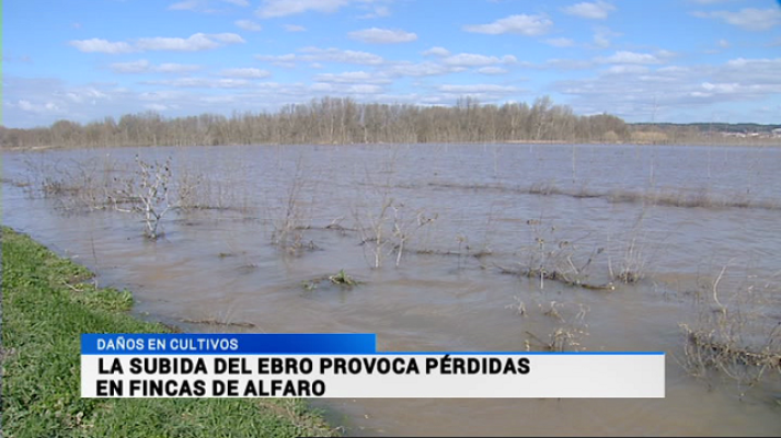 Informativo Telerioja - Informativo Telerioja 2 - 18/02/15