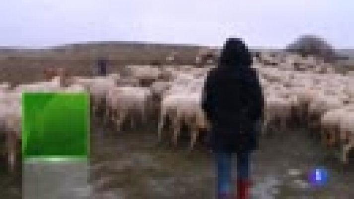 El oráculo de las cabañuelas