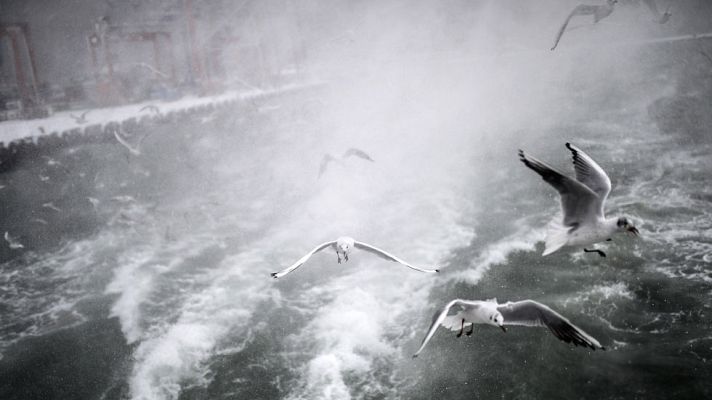 El tiempo - Precipitaciones en Galicia