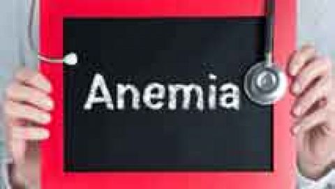 Hierro y anemia