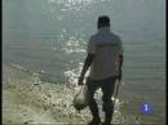  - Marisquean sin licencia.