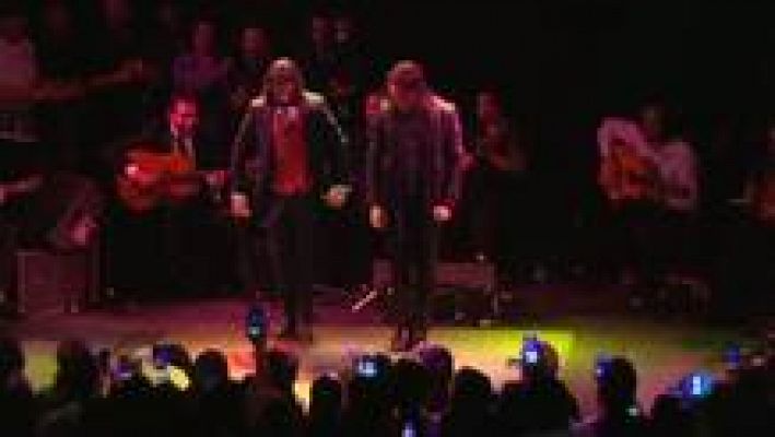 L'Informatiu - Homenatge a Paco de Lucía al festival "De  flamencos y otras aves" de Barcelona