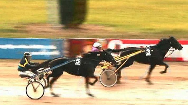 Turf - Turf - 22/02/15