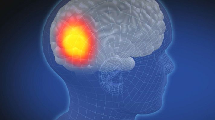 Crónicas - Sensibilidad al trasluz - Avance