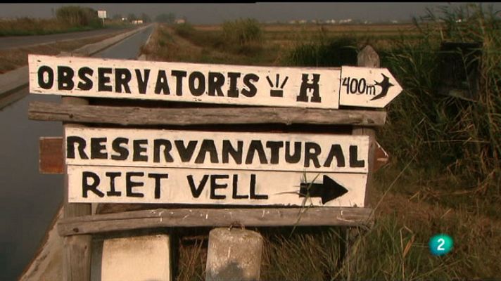 La aventura del Saber - Arrozvolución000