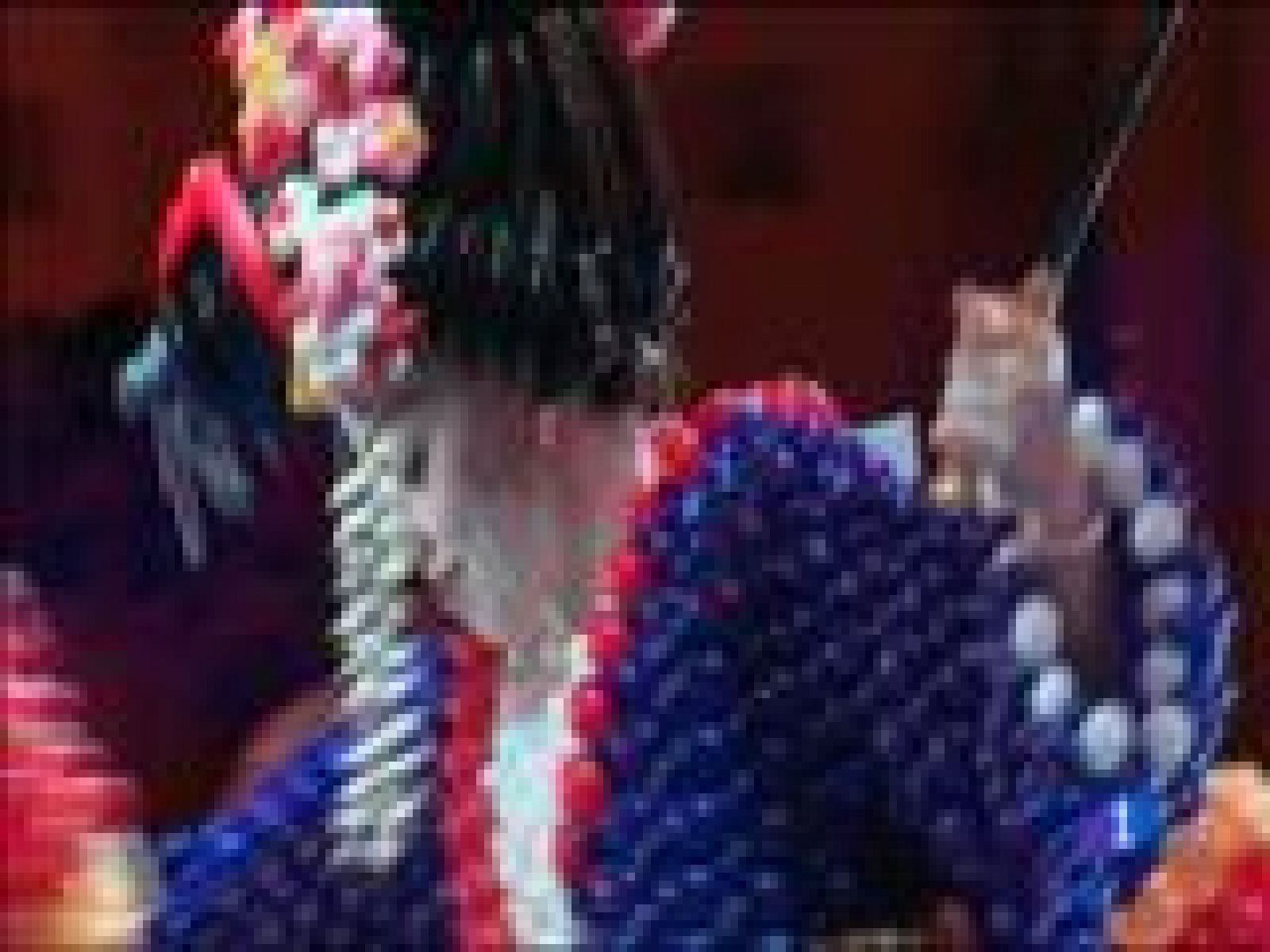 Panorama Regional 2 - 23/02/15 | Ver