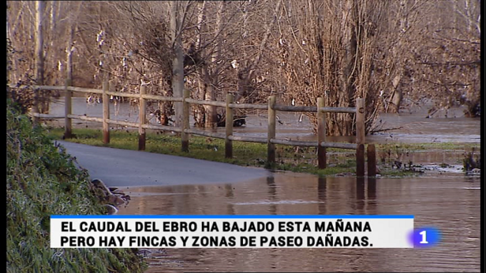 Informativo Telerioja 2 - 23/02/15 | Ver