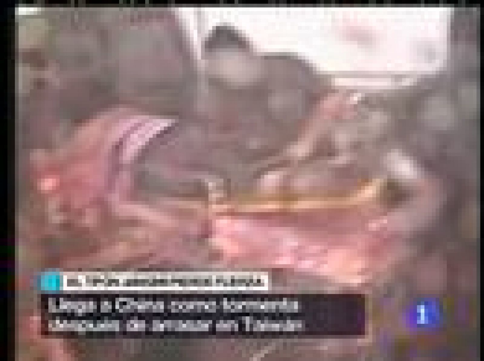 El tifón Jangmi llega a China convertido en tormenta tropical | Ver