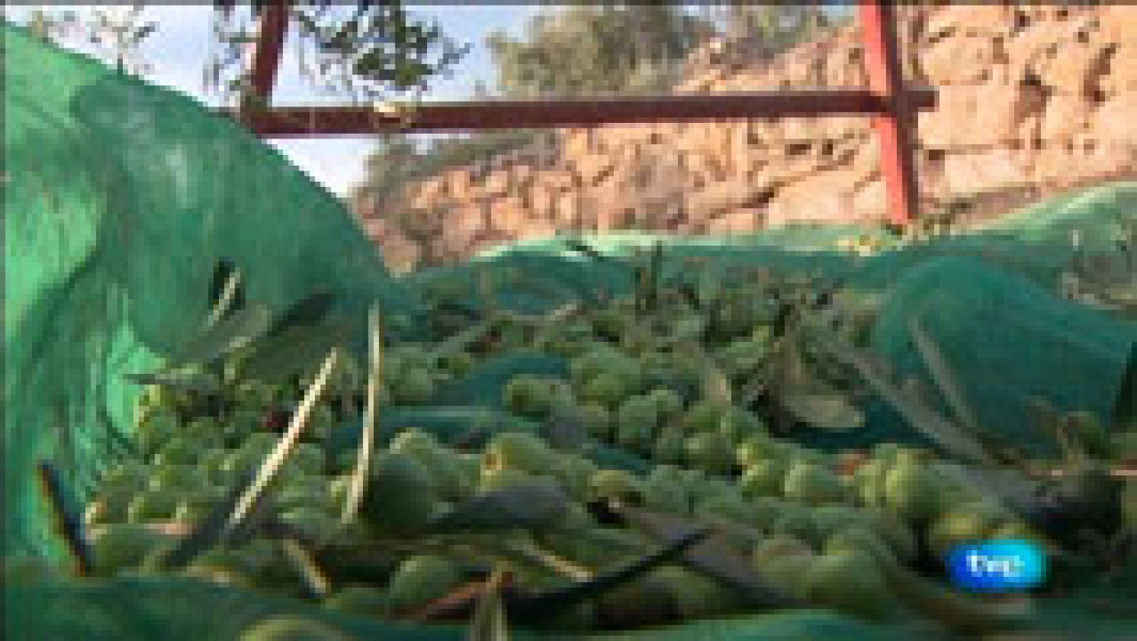 La Aventura del Saber. Asociación Trenca