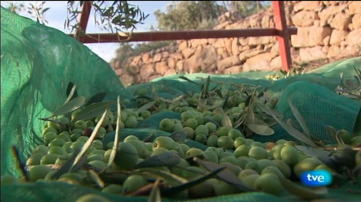 La aventura del Saber - Asociación Trenca