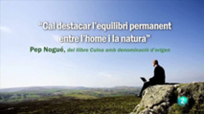 Tinc una idea - Pep Nogué