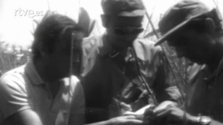 El planeta azul - La Albufera de Valencia